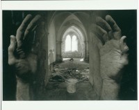 藏品(迷霧重重之境)的圖片